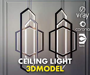 Ceiling Light