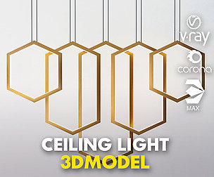 Ceiling Light