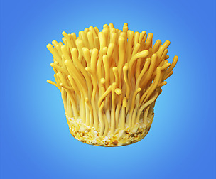 Mycelium Cordyceps 3d model hight quality 3D model