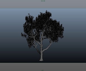 American Chestnut Tree 001 - Wind Animated