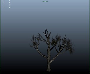 American Chestnut Tree 001 - Growth Animated