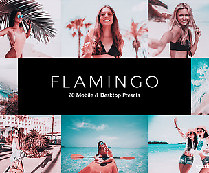20 Flamingo Lightroom Presets and LUTs