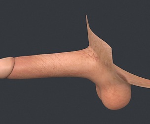 Man Penis