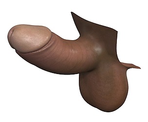 Small Erect Dark Penis