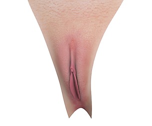 Realistic Woman Vagina