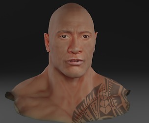 face similar to the face of Dwayne Johnson Rock
