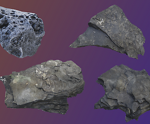 Whitby Fossil Photoscans - Starter Pack