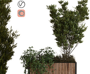tree in box set 018