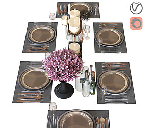 dining table setting 003