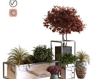 plants tree in box set 031