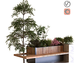 tree in box set 021