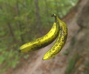 0001-03_Banana