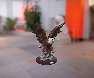 0001-08_LargeEagle