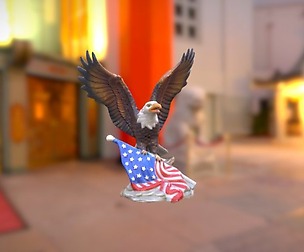 0001-10_FlagEagle
