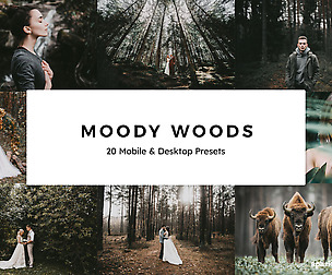 20 Moody Woods Lightroom Presets and LUTs