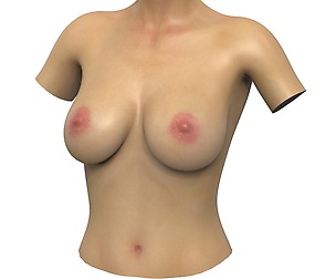 Realistic Woman Breast 01