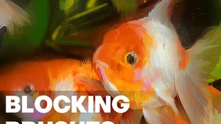 BLOCKING BRUSHES cover