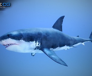Great White Shark v2 Unity