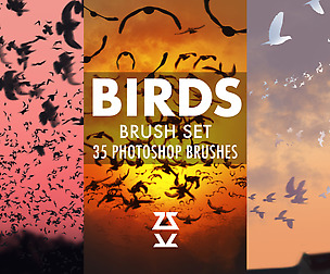 Birds Brush Set