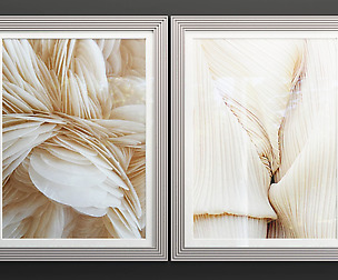 Art Frame 501