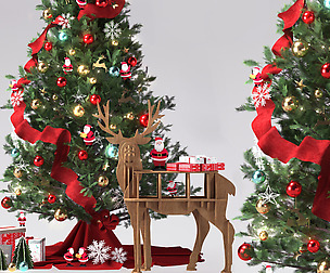 Christmas Decorative set01