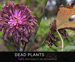 Dead Plants CREATIVE PACK