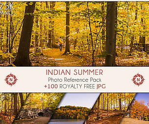 Indian Summer - Photo Reference Pack