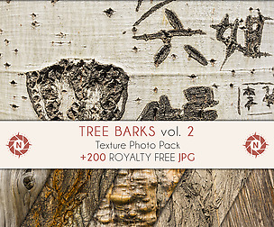 Tree Barks 2 - Texture Photo Pack