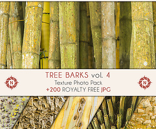 Tree barks Volume 4 - Texture pack