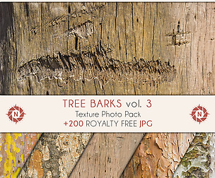 Tree barks 3 - Texture Photo Pack