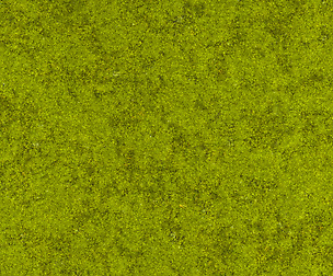 Moss 3 - 8K ST (5 variations)