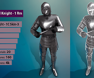 TAB Medieval Knight - 1Rm C - Skin3