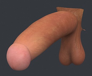 Realistic Monster Penis