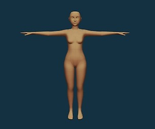 Female Basemesh - Rigged