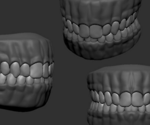mandible