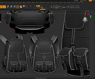 backpack with interior