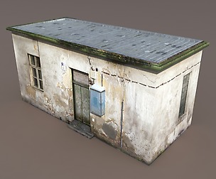 Derelict House