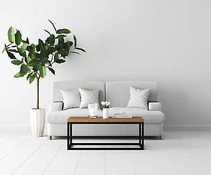 Living C - Fig Tree and Tulips