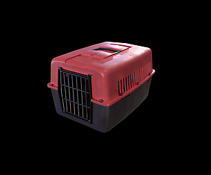 Cat Cage - Gest