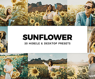 20 Sunflower Lightroom Presets and LUTs