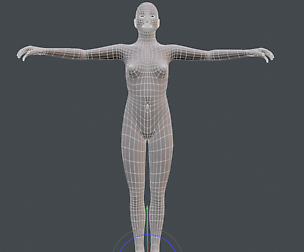 Female OBJ Body Base Mesh
