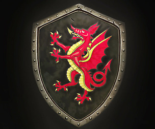 Dragon Shield