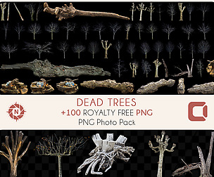 Dead Trees - PNG Photo Pack