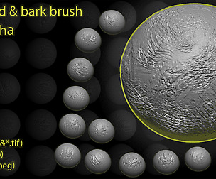 60 wood and bark Brushes + alpha