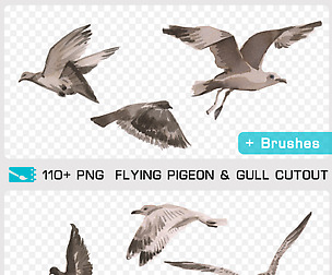 FLYING PIGEON & GULL CUTOUT & BRUSH