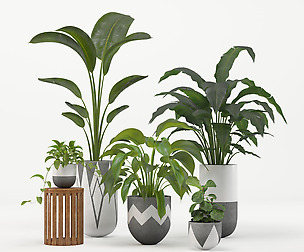 indoor plant set 001