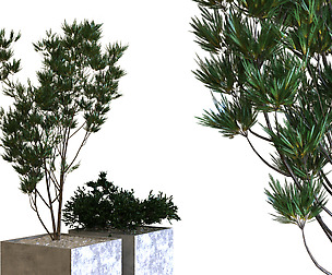plants box set 09