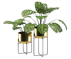 Salix Set of 2 Large Planter Stands, Chrome
