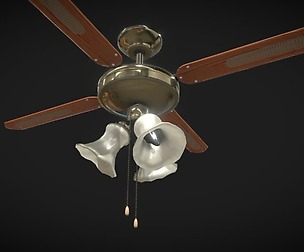 Ceiling Fan Light