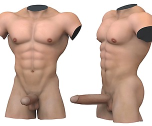 Muscular Male Torso with Penis